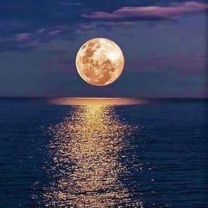 Meet your Posher, Souad